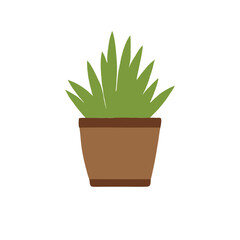 Lush Green Indoor Plant in a Pot 