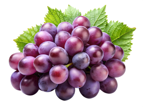 fresh purple grape wi isolated on transparent background png
