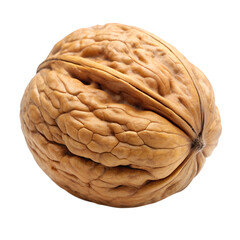 Obraz premium walnuton a isolated on transparent background png
