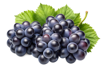 three black grape clusters o isolated on transparent background png