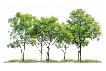 Shiny green olives on white background. Neural network AI generated