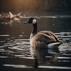 A goose standing near a floating feather, symbolizing lightness.