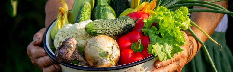Elderly woman holding a bowl of vegetables on a garden background. Selective focus