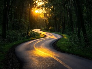 Obraz premium Lonely Road in the Green Forest Nature Serene Landscape