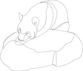 One line panda bear resting on a rock design silhouette. Hand drawn minimalism style vector illustration.