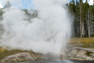 Riverside Geyser erupting along the Firehole River, in the Upper Geyser Basin of Yellowstone National Park