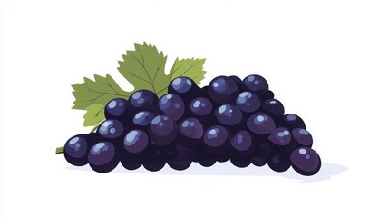 Fototapeta premium Fresh bunch of dark purple grapes.