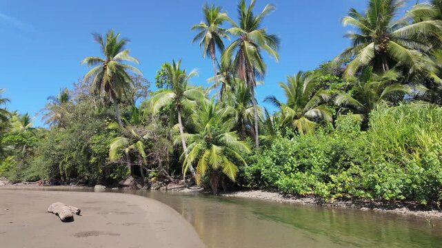 A slow motion shot of a beautiful jungle scene on the beach. A shallow river is next to green lush rainforest plants like palm trees and other foliage. It is incredibly relaxing and idyllic. The river