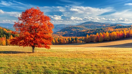Vibrant Red Tree in Autumn Landscape