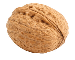 Single walnut on a transparent background
