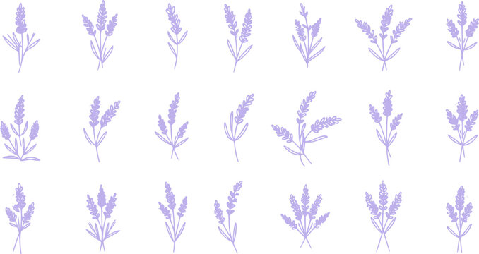 lavender icon in different style vector illustration. two colored and black lavender vector icons designed in filled, outline, line and stroke style can be used for web, mobile, ui