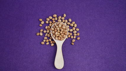 Soybeans in a wooden spoon isolated on a purple background .