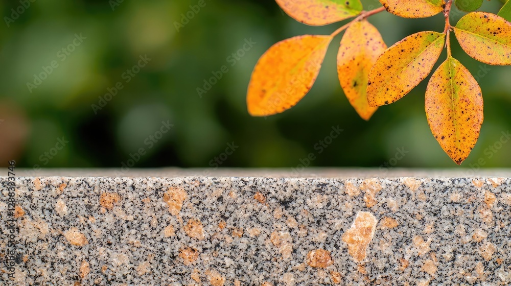 Poster weathering process concept. autumn leaves contrast with a textured stone surface, creating a seasona