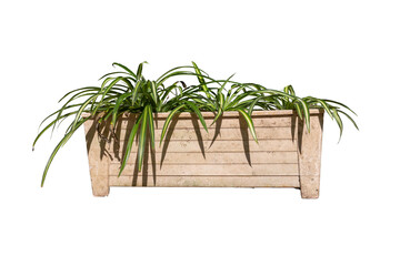 A serene and stylish planter filled with vibrant green foliage, showcasing a harmonious blend of structure and nature, perfect for enhancing any garden or interior space.