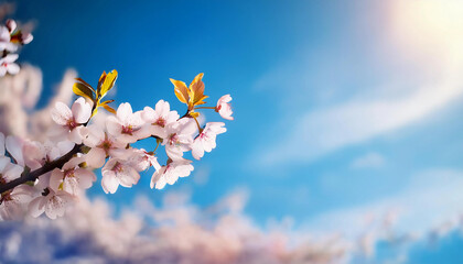 Close-up of cherry blossoms with a blurred sky background, bright and fresh, perfect for flyer backgrounds with space for branding or text overlay