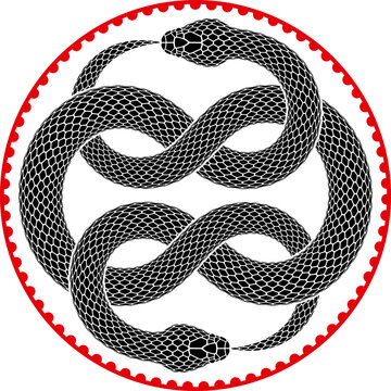 Vector tattoo design of two black snakes eating their tails and knotted to fill a circular shape. Isolated black silhouette of Ouroboros symbol.