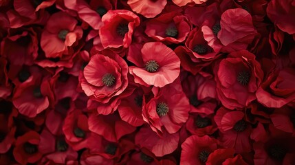 Fototapeta premium Close-up of bright red poppies decorating a festival float in Italy, leaving negative space around for copy.