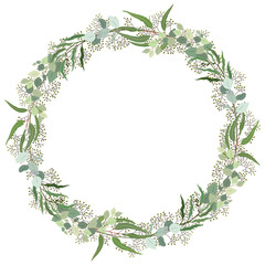 Eucalyptus wreath. Round natural backdrop with hand drawn eucalyptus leaves and branches. Decorative frame made of aromatic plant. Botanical vector realistic illustration isolated
