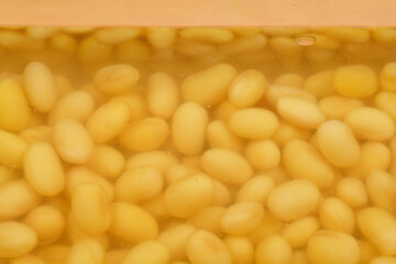 A close-up, high-angle shot of soybeans soaked overnight, showcasing their plump texture and hydrated appearance in a clear liquid