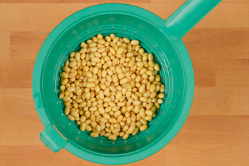 A top-down shot of rehydrated soybeans in a green plastic colander, showcasing their plump texture and preparation for cooking