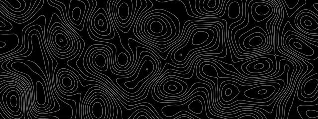 Abstract wave paper curved reliefs background .gradient multicolor wave curve lines banner background design. The black on white contours vector topography stylized height of the