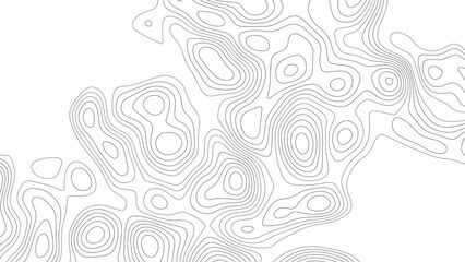 Fototapeta premium Abstract wave paper curved reliefs background .gradient multicolor wave curve lines banner background design. The black on white contours vector topography stylized height of the