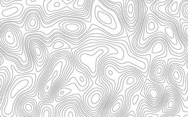 Obraz premium Abstract wave paper curved reliefs background .gradient multicolor wave curve lines banner background design. The black on white contours vector topography stylized height of the