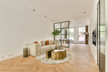 Modern minimalist living room interior