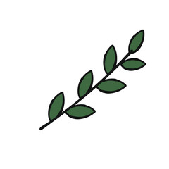 thyme leaf women's day doodle illustration hand drawn