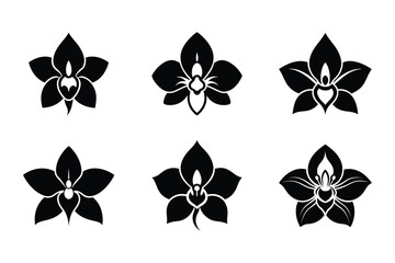 Cattleya Orchid Silhouette Set, Black Tropical Flower Vector Icons © Helal