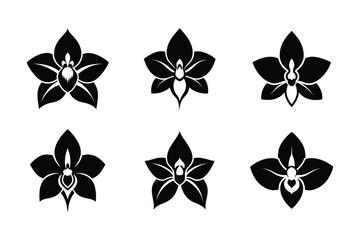 Fototapeta premium Cattleya Orchid Cattleya Trianae Silhouette Flower Set