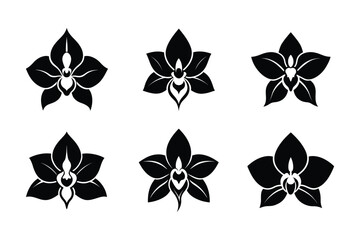 Fototapeta premium Cattleya Orchid (Cattleya trianae) siilhuette vector illustration