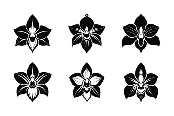 Cattleya Orchid (Cattleya trianae) siilhuette vector illustration © Helal