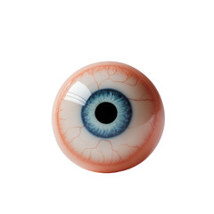 Medical Illustration of a Realistic Eyeball Isolated on Transparent Background.