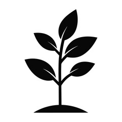 Young sprout in soil vector icon