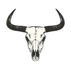 Fototapeta premium Eyecatching bull skull with long horns against a bright white backdrop for visual impact