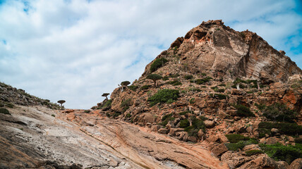 Exploring the striking landscapes of Socotra with unique rock formations and flora