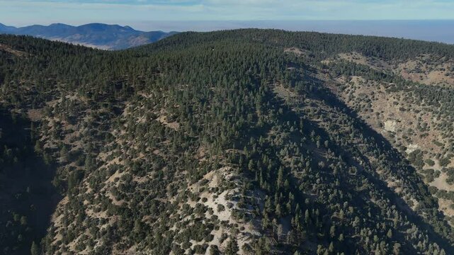 Aerial View of Frazier Mountain, Los Padres National Forest, Kern County