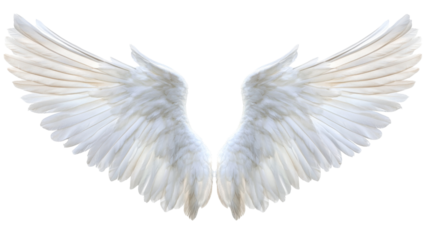 Majestic white angel wings transparent background png ethereal nature minimalist design soft light concept