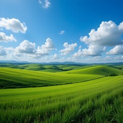 Fototapeta premium Vast green field stretches under vibrant blue sky. Fluffy white clouds drift across clear blue sky. Rolling hills suggest serene countryside landscape. Perfect for nature lovers, seeking images of 