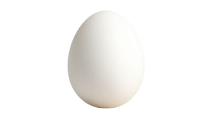 Elegant white egg png with transparency background white still life photography minimalistic concept