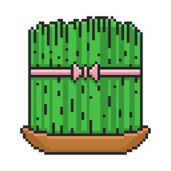 Green grass samenu for Nowruz holiday on white background in pixel style. Vector illustration