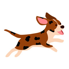 Fototapeta premium dog with bone