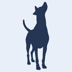 belgian malinois vector illustration silhouette