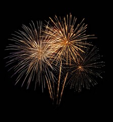 Fototapeta premium Golden fireworks exploding in the night sky