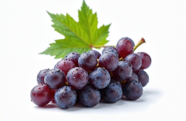 Fototapeta premium Juicy purple grape cluster with green leaf isolated on white background. Fresh ripe fruits covered with water drops, sweet healthy vegan snack, dessert ingredient. Viticulture, agriculture.