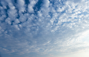 Fluffy white cumulus clouds gently spread across blue sky