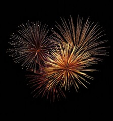 Fireworks exploding in the night sky, creating a colorful spectacle