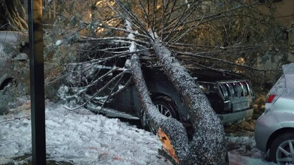 Broken trunk crushing parked SUV in deep snow, showcasing harsh winter mishap and urgent rescue necessity. Great for disaster coverage, safety campaigns, or repair services.