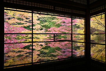 瑠璃光院の紅葉